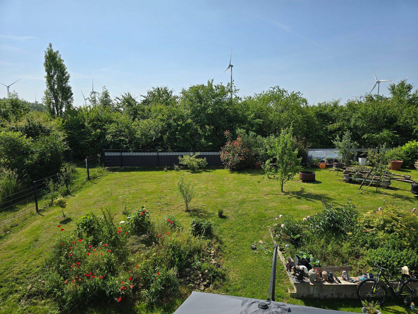 Bild 5