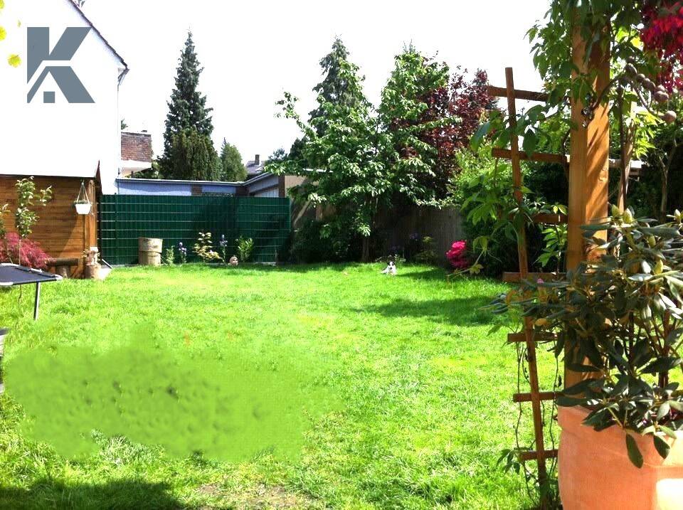 image-65439961