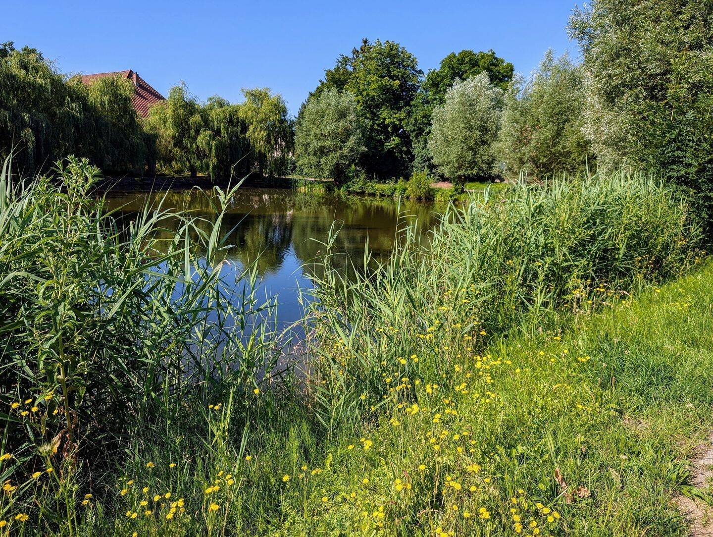 Bild 8