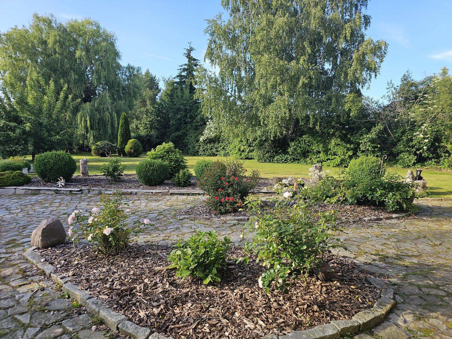 Bild 5