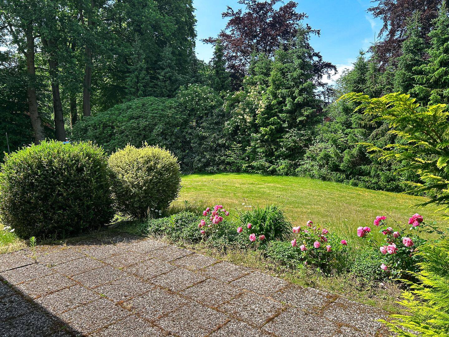Bild 8
