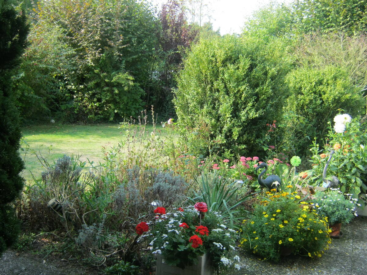 Bild 6