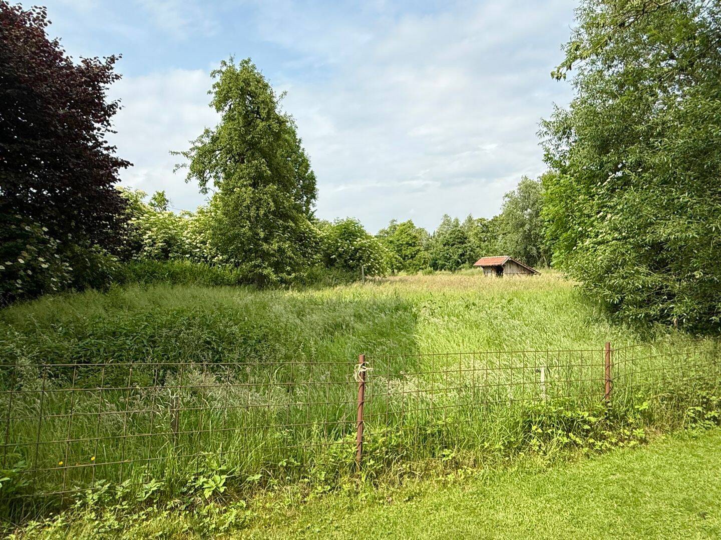 Bild 7