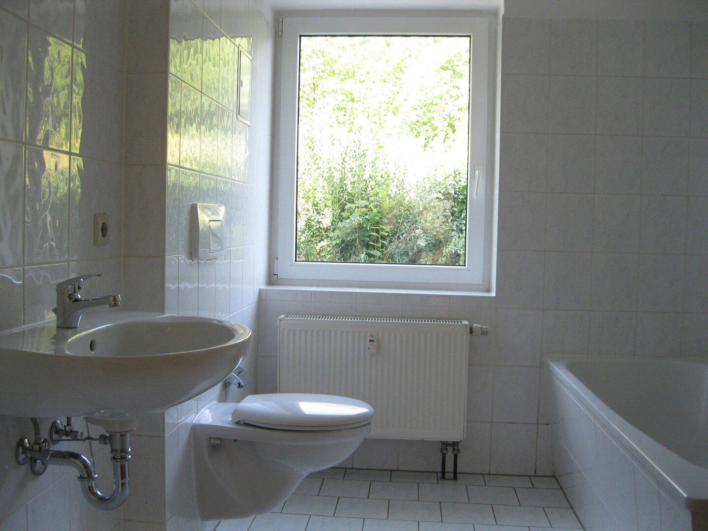 image-65552741