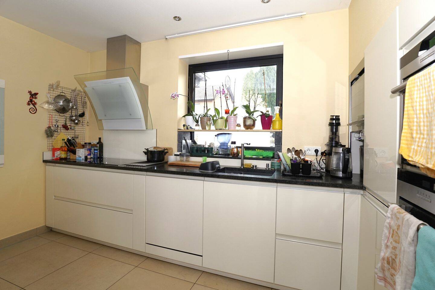 Bild 9