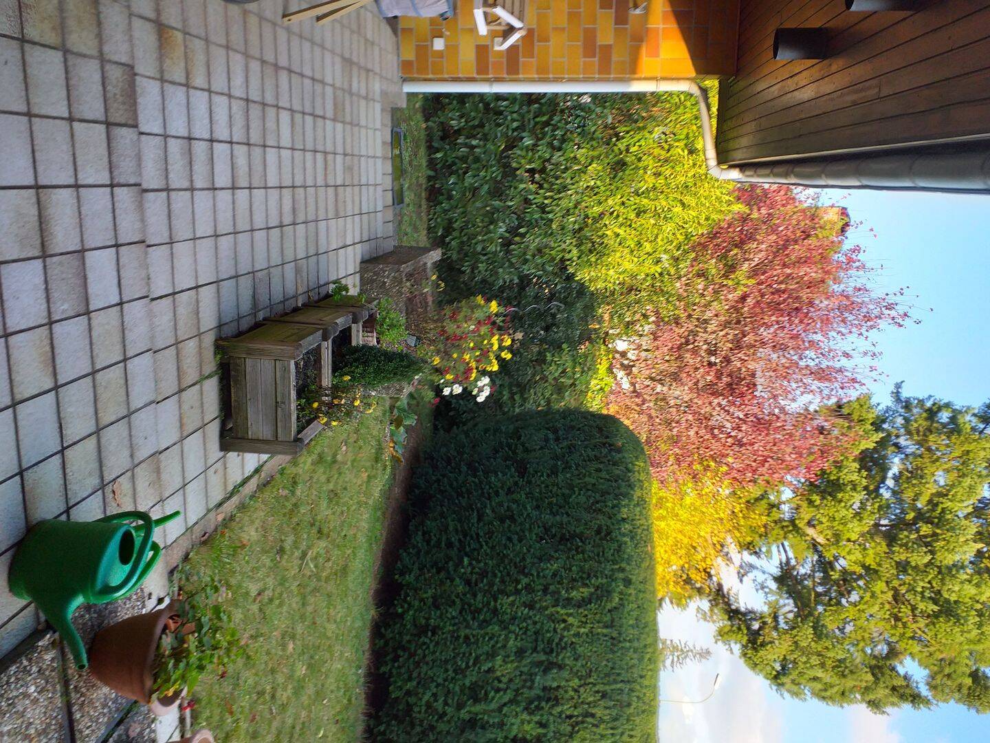 image-65571118