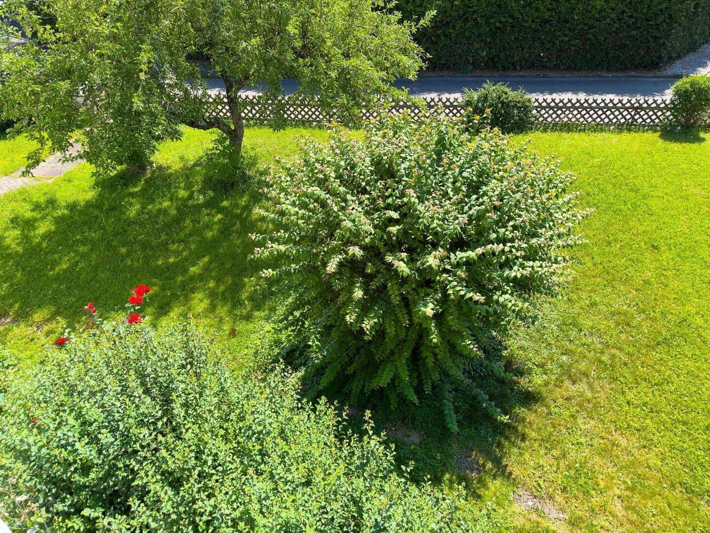 image-65583770