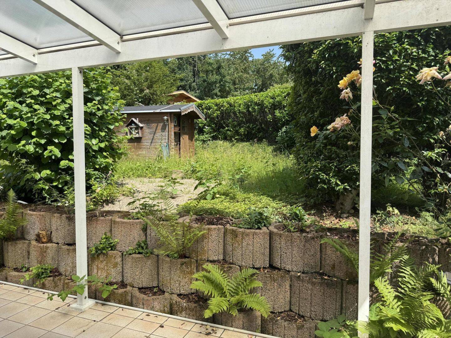 Bild 5