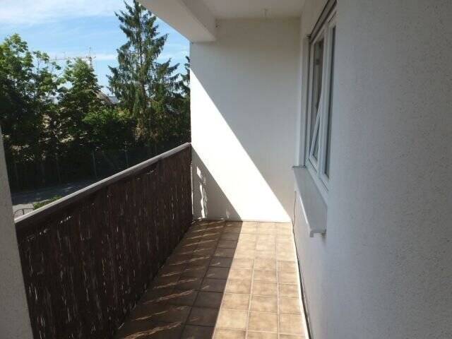 image-65590361