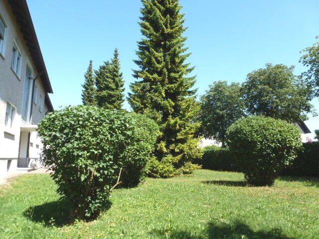 image-65591281