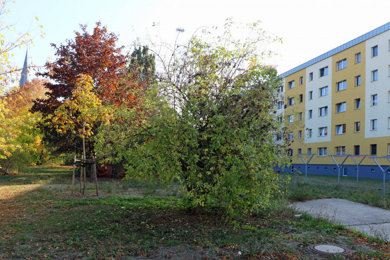 Bild 4