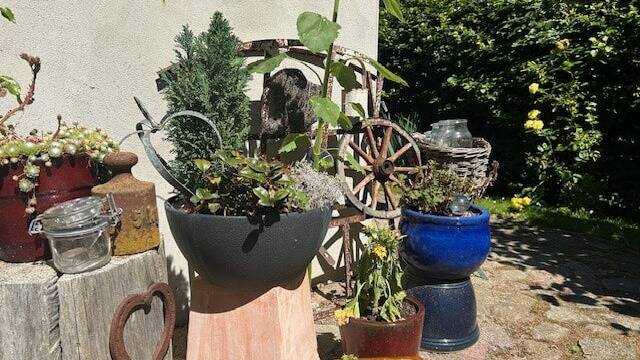 Bild 8