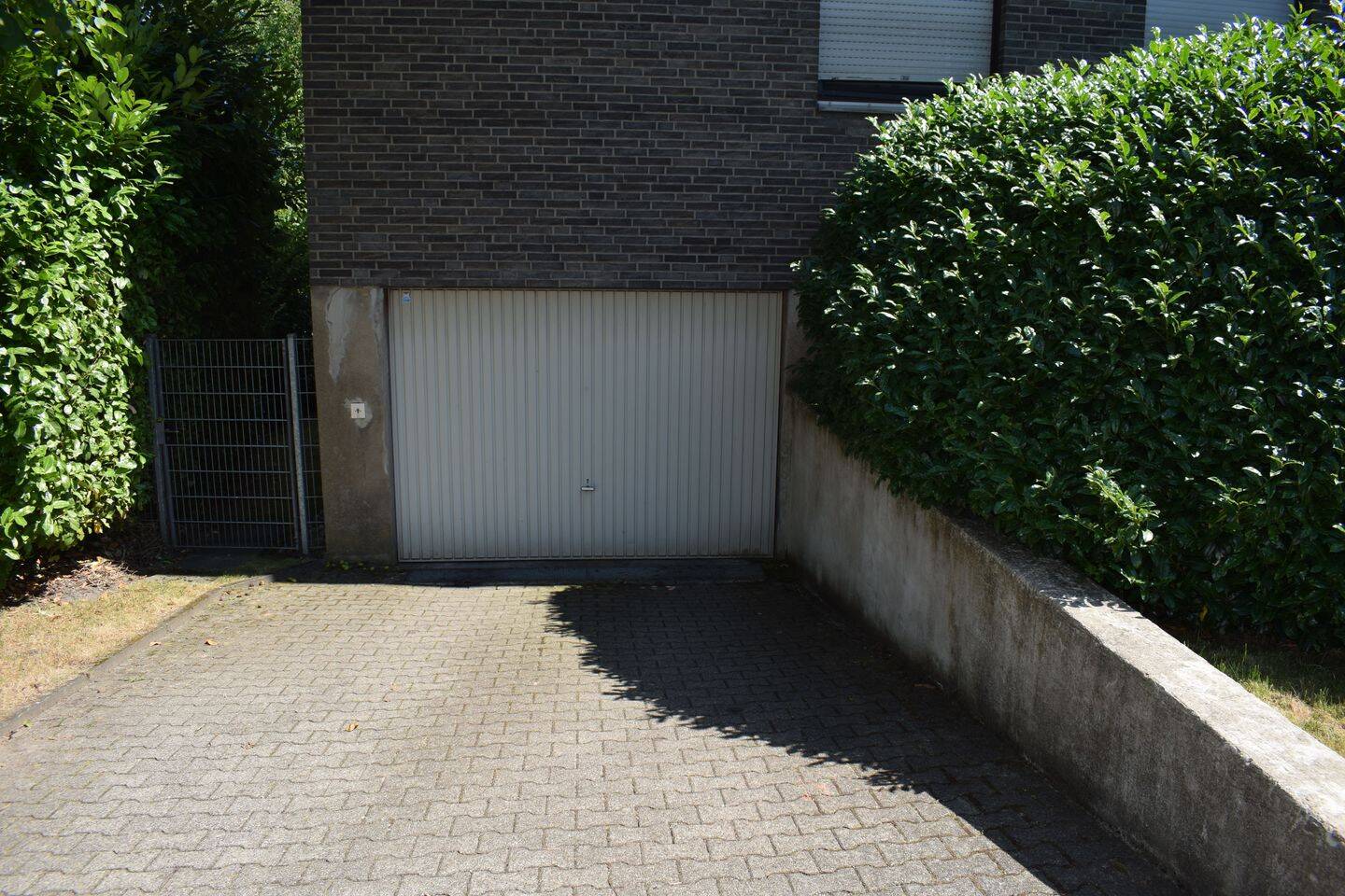 image-65597059