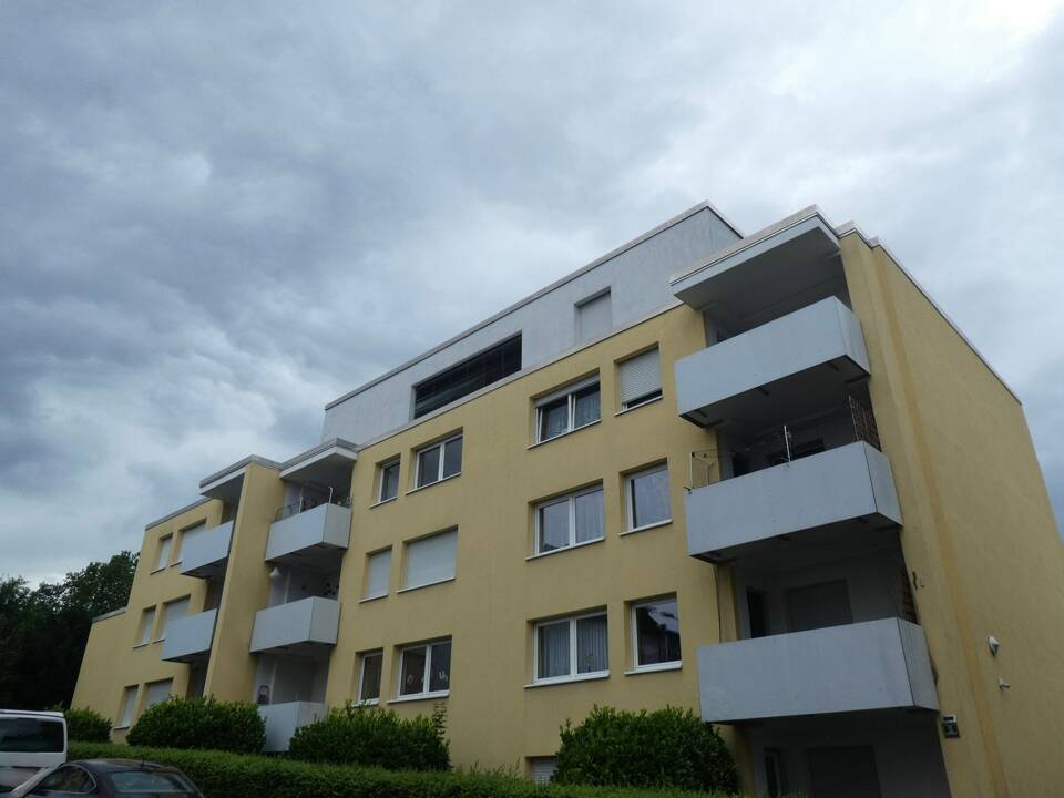 image-65599903
