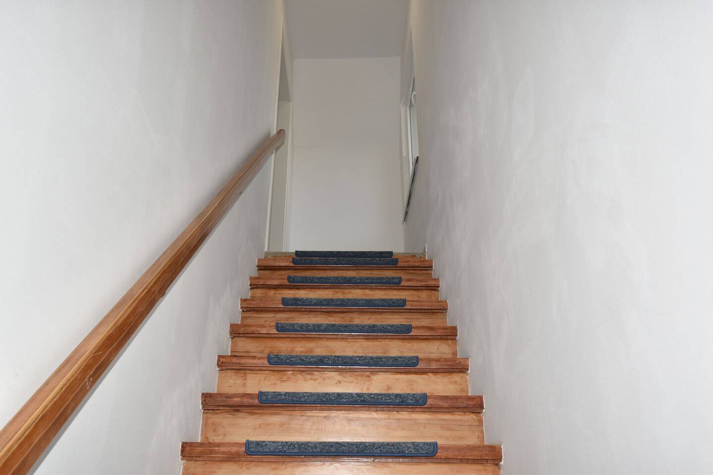 image-65601538