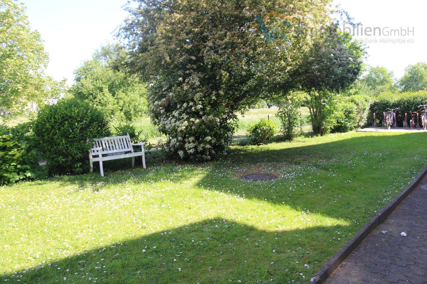 image-65601762
