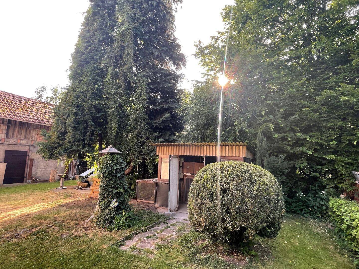 Bild 6