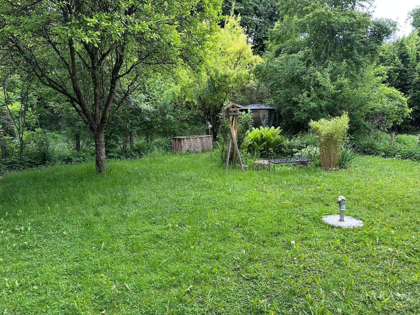 image-65606180