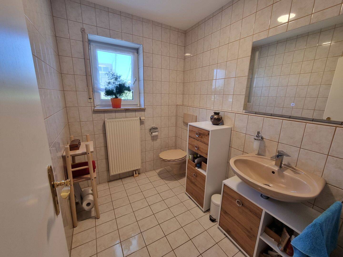 Bild 7