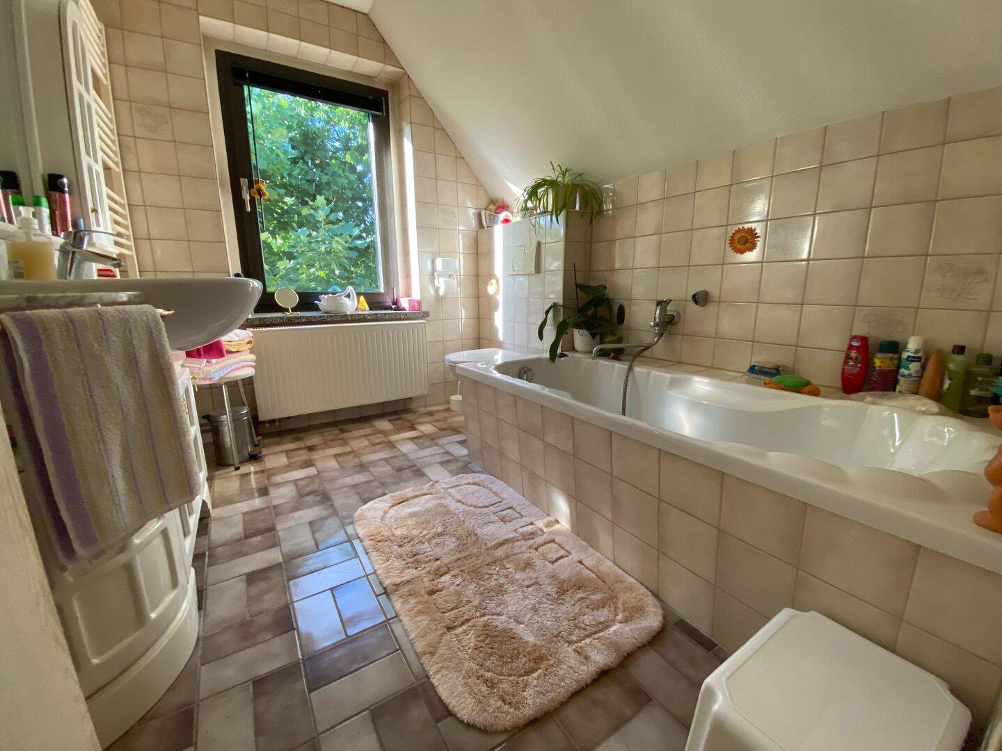 Bild 8