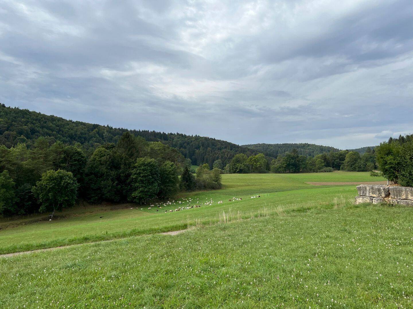 Bild 8