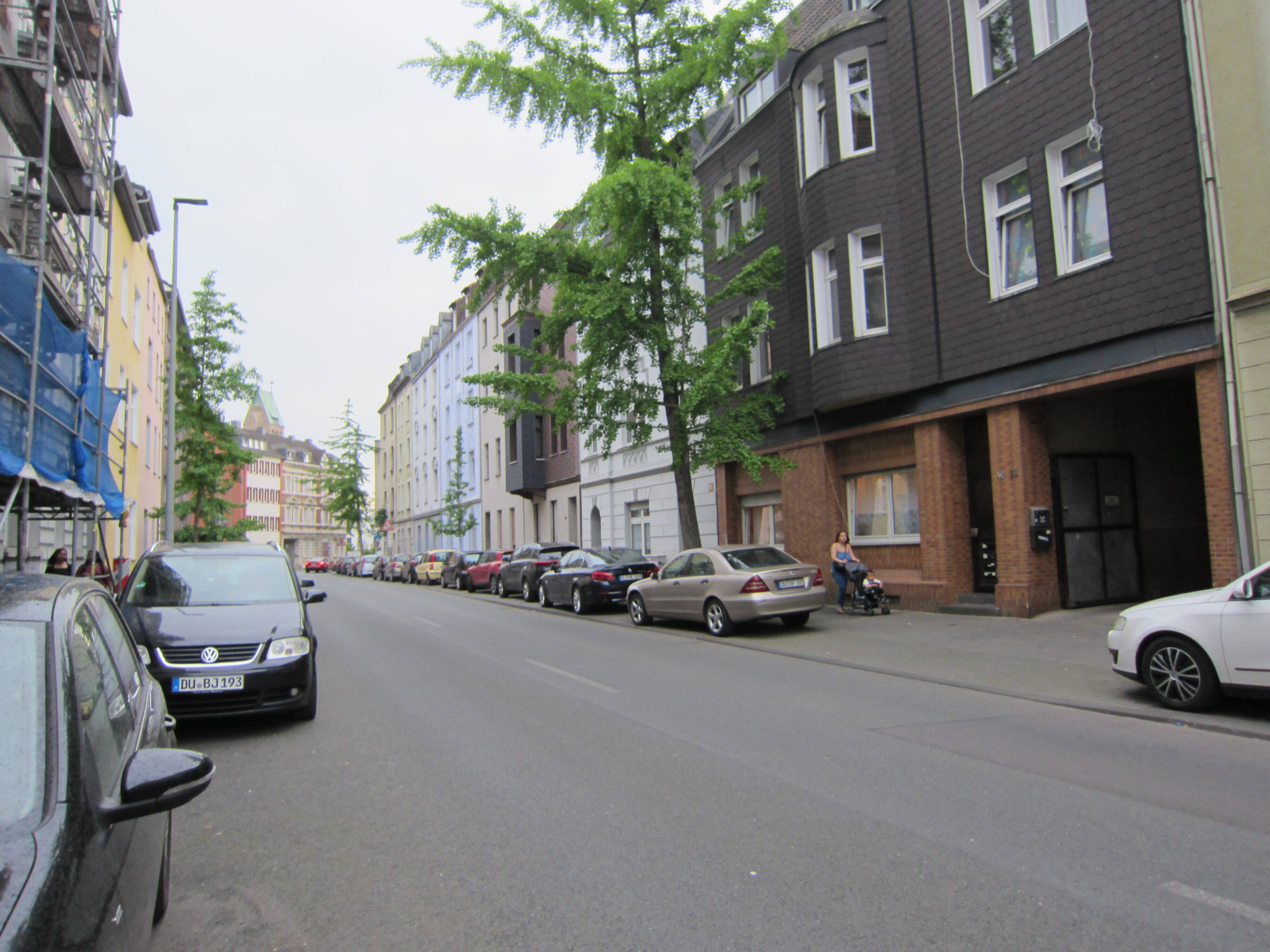 image-65614781