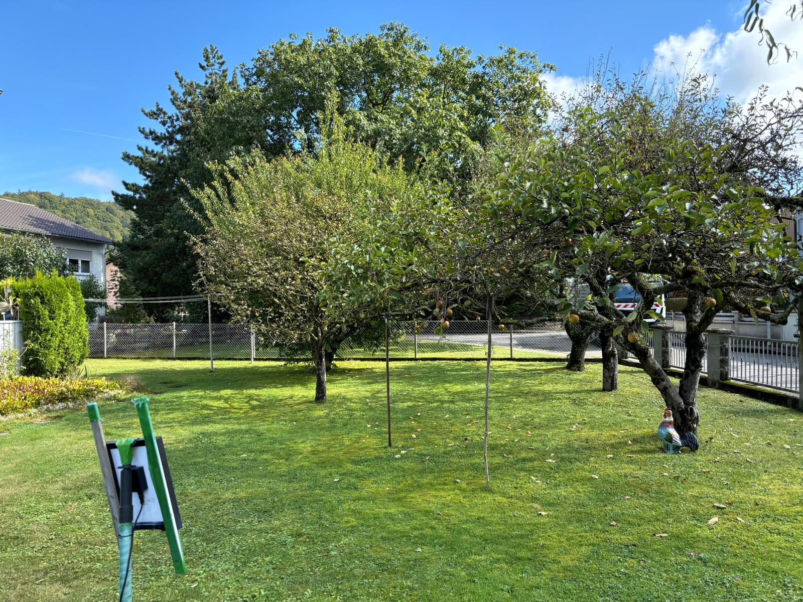 Bild 5
