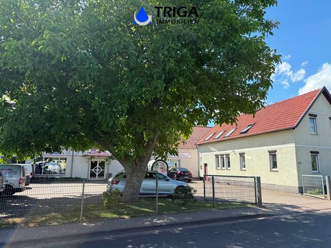 Bild 7