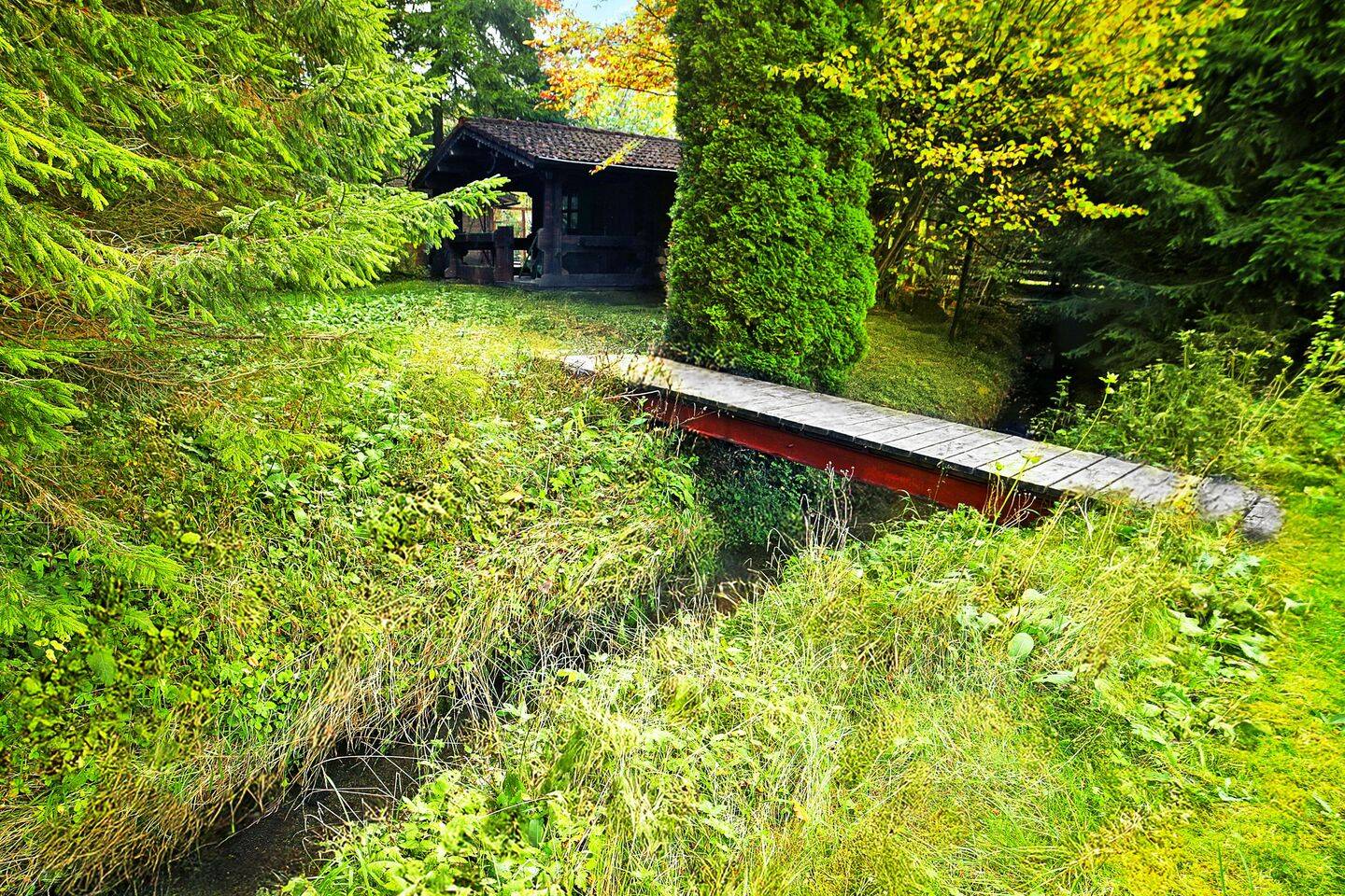 image-65644361