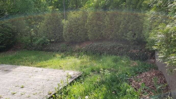 image-65647055