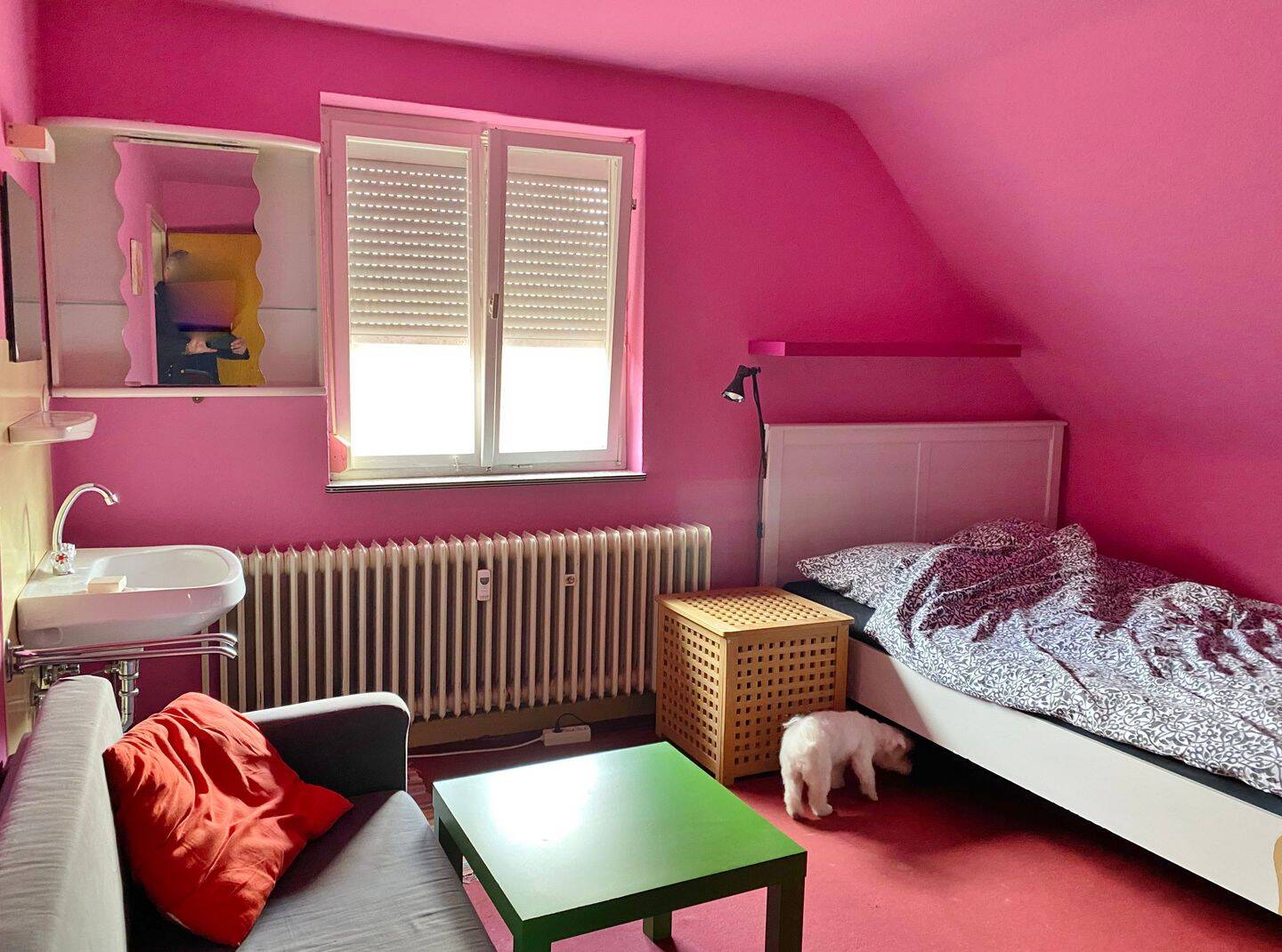 Bild 8
