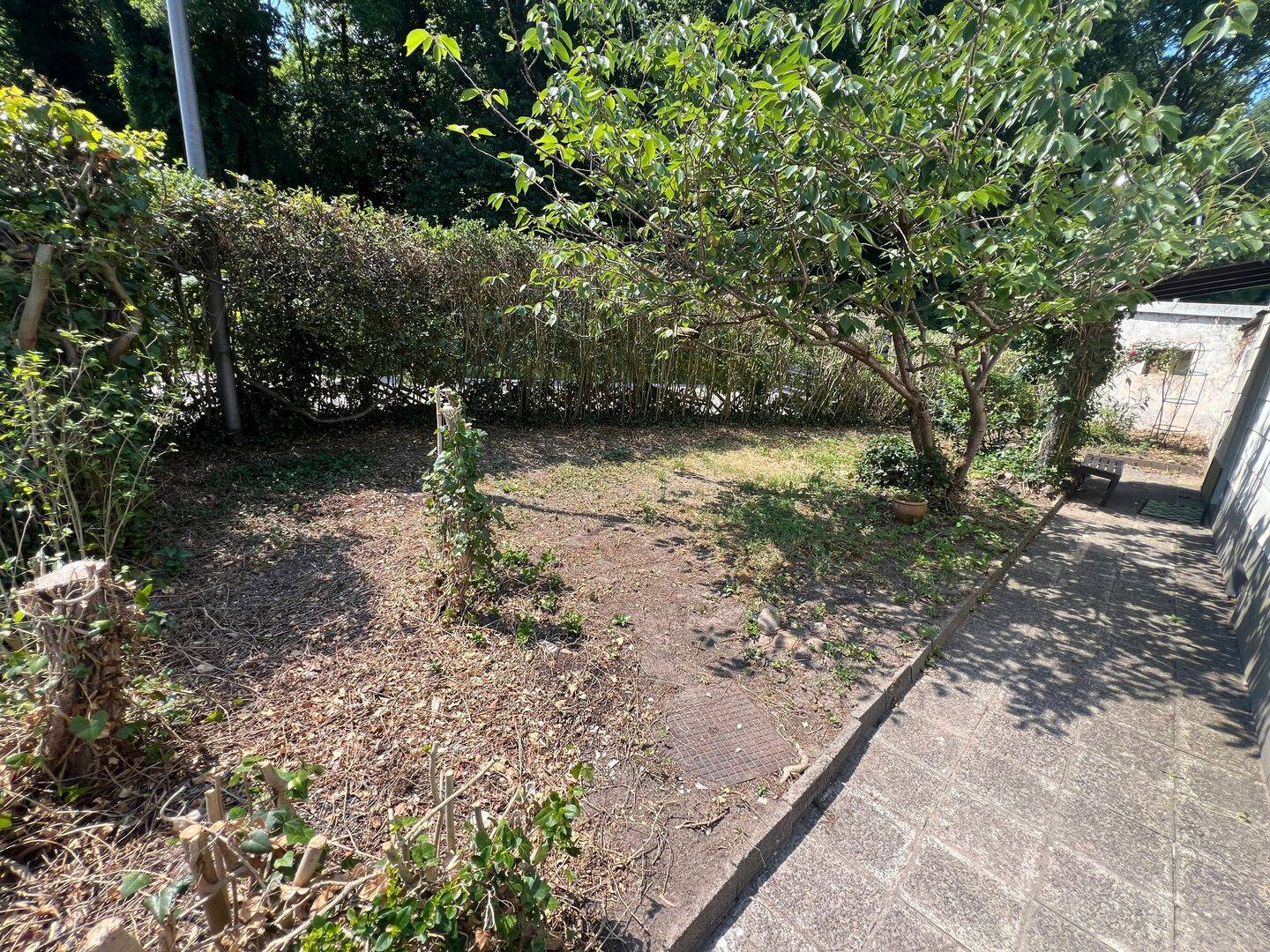 image-65650537