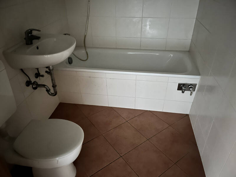 image-65654033