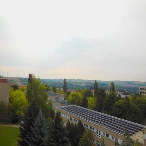 image-65657748