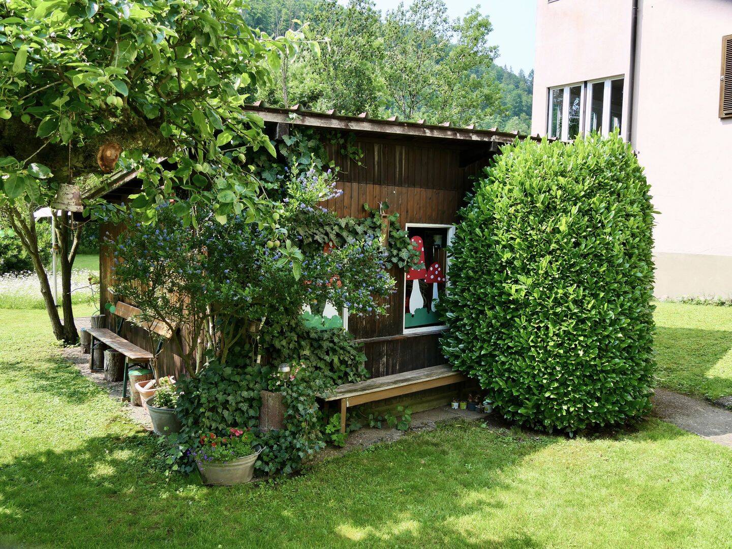 Bild 8