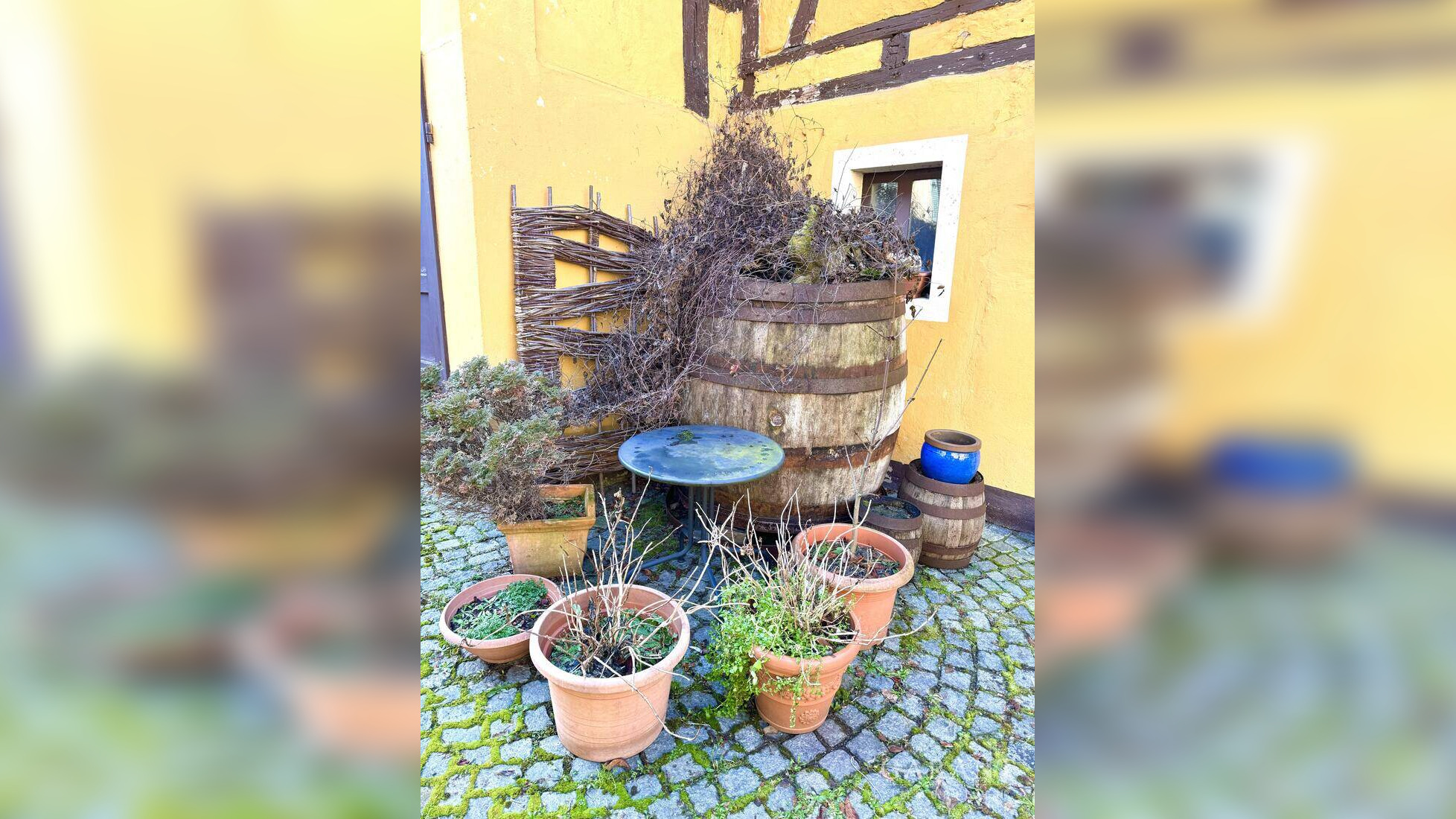 Bild 7