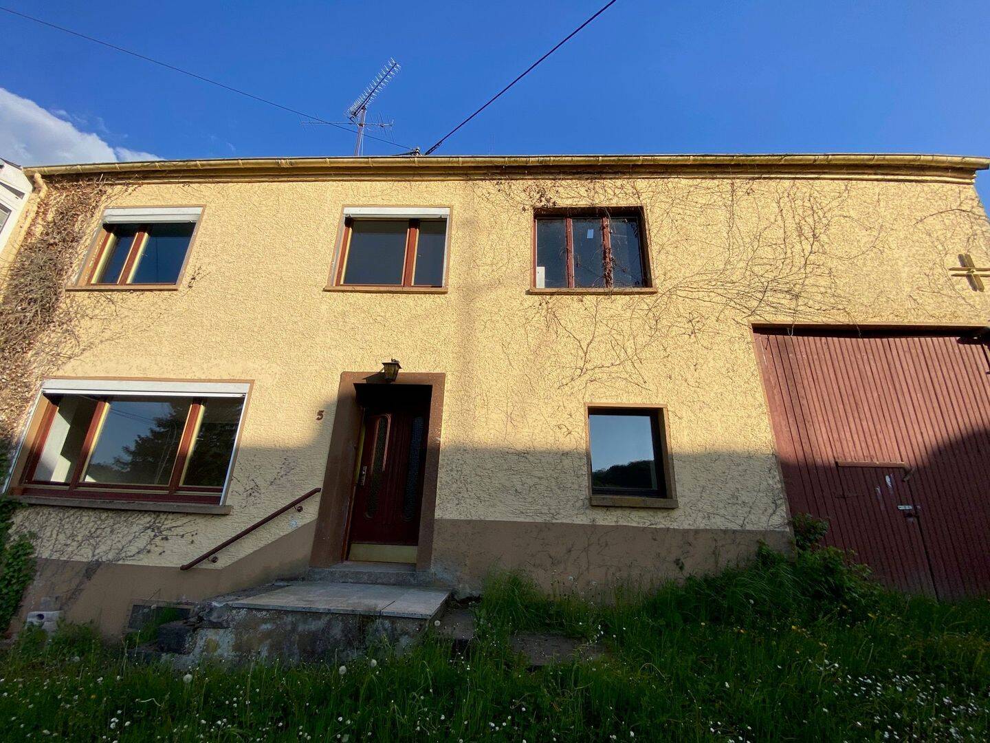 image-65685826