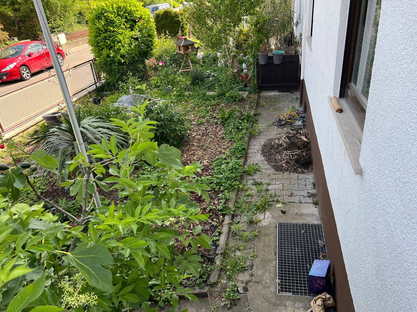 Bild 5