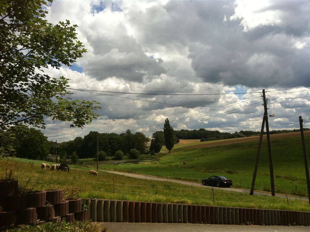 Bild 8
