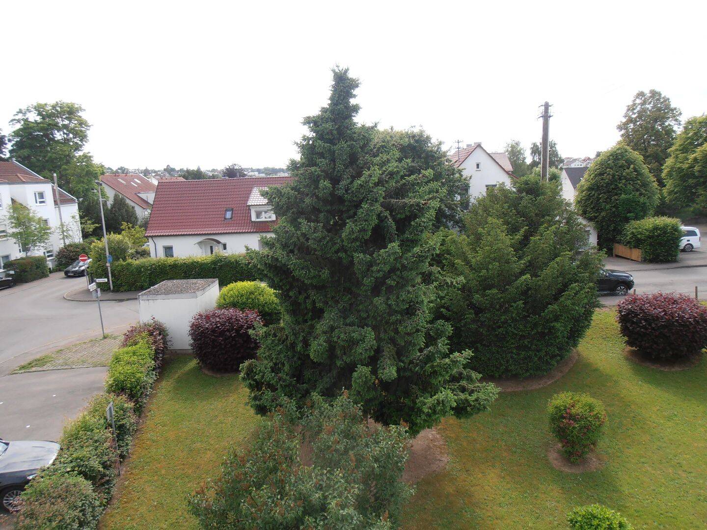 image-63801323