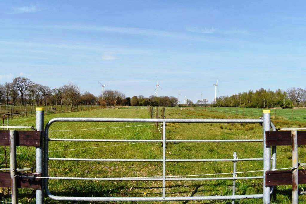 Bild 7
