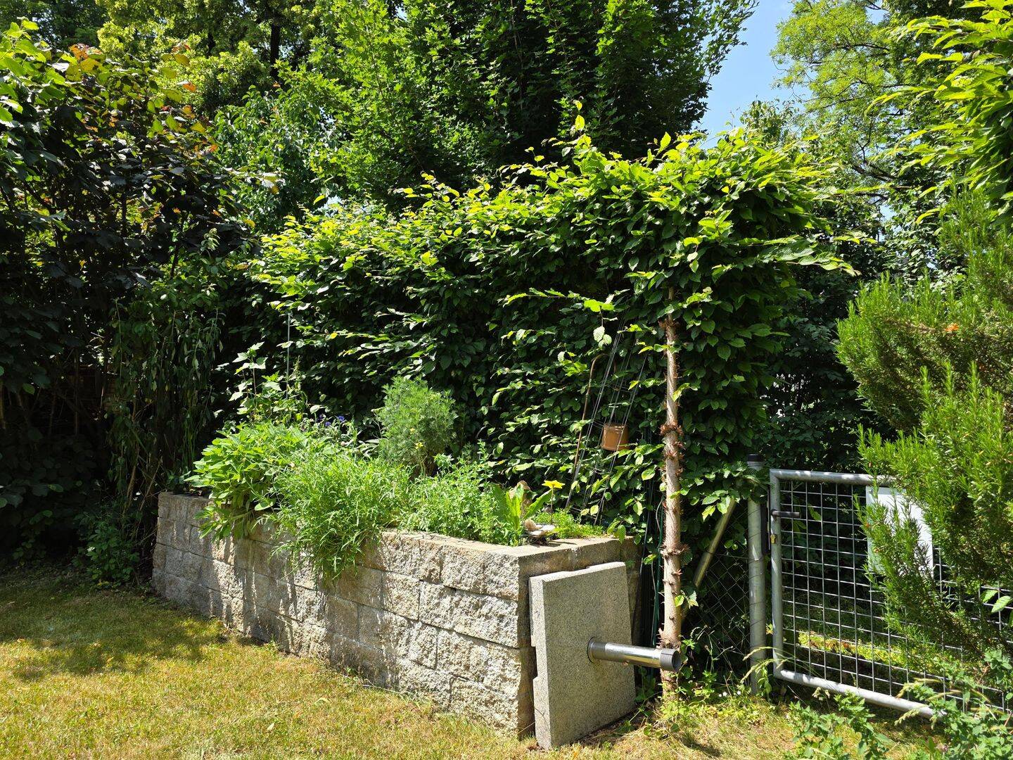 Bild 6