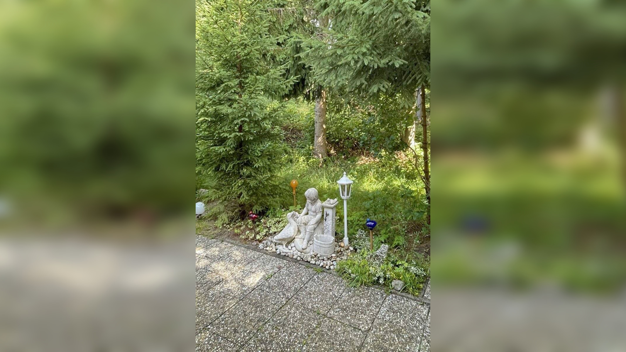 Bild 7
