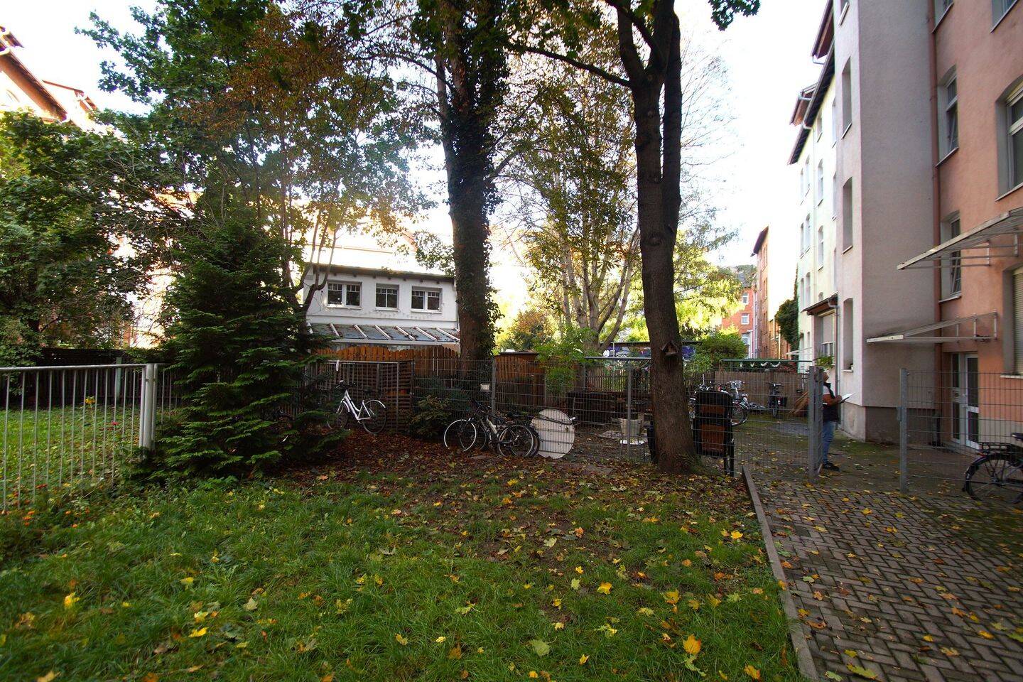 image-65733044