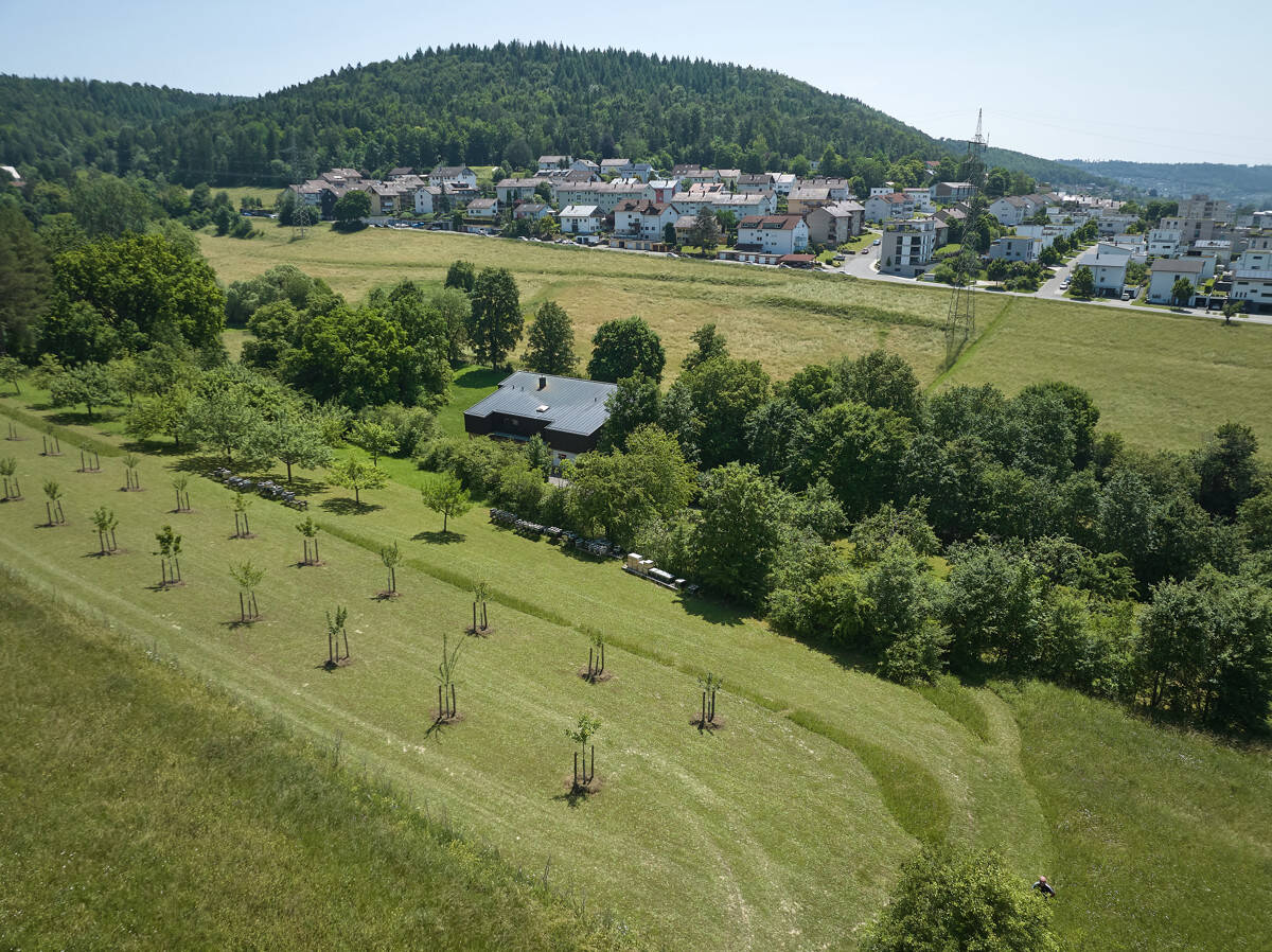 Bild 6