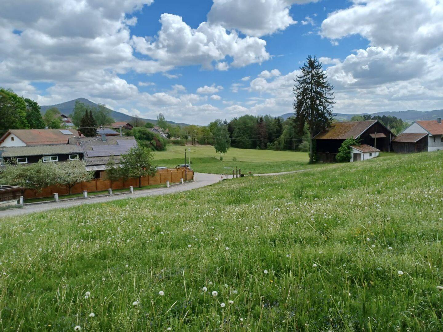 image-65745632