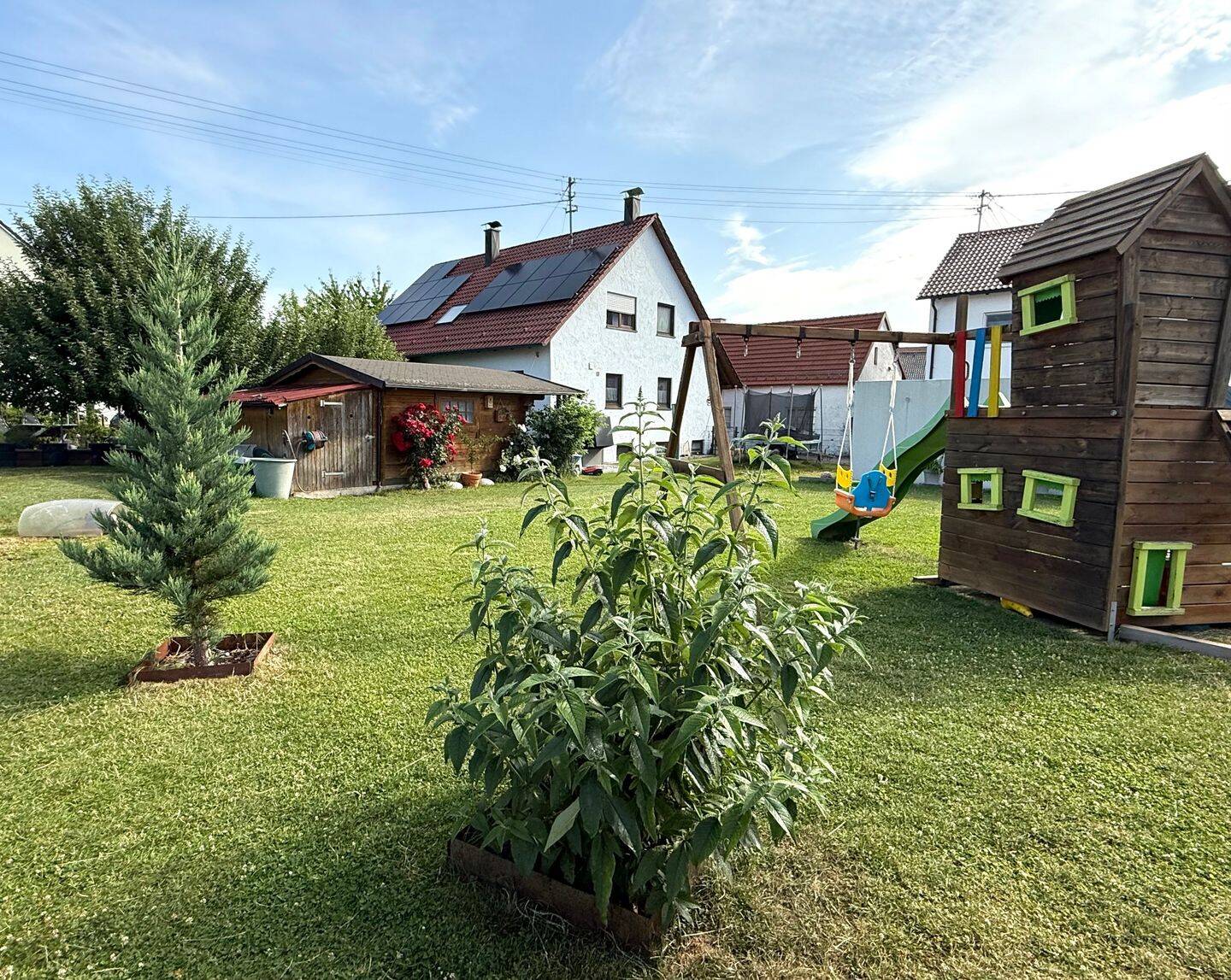 image-65746031