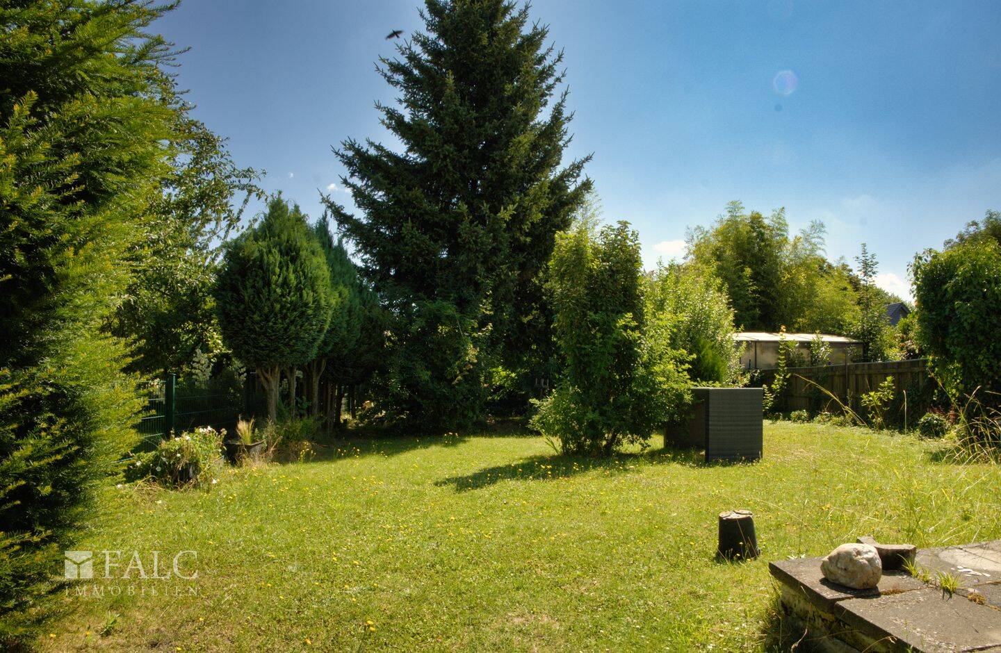 Bild 6