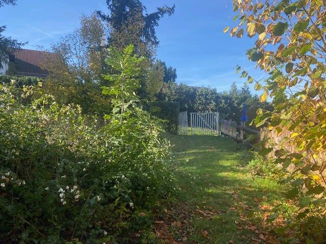 image-65788641