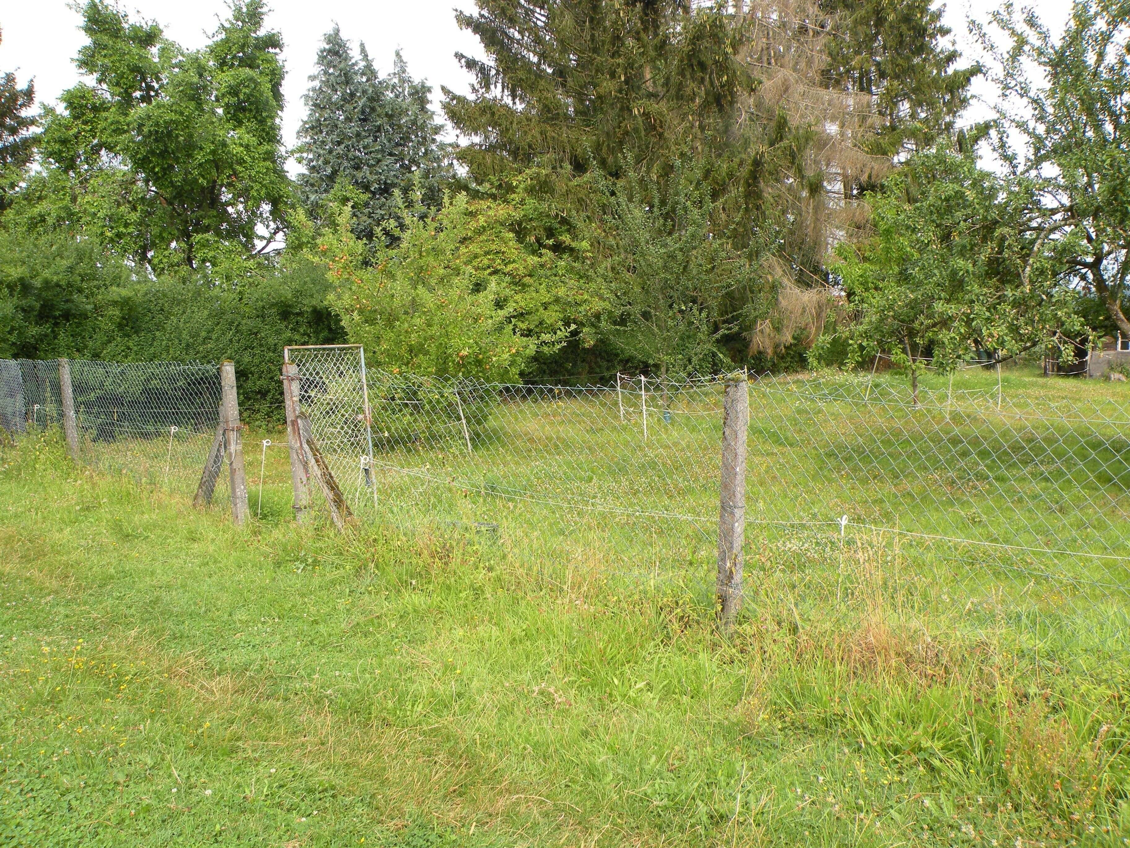 Bild 7